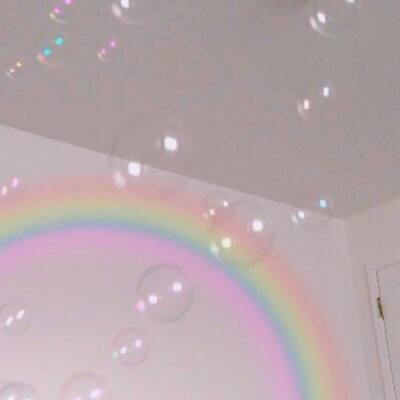 笨蛋熊骑自行车